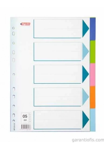 BigPoint 5 Renkli Seperatör