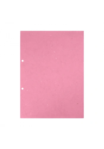 DİLMAN ARA KARTONU A4 100LÜ