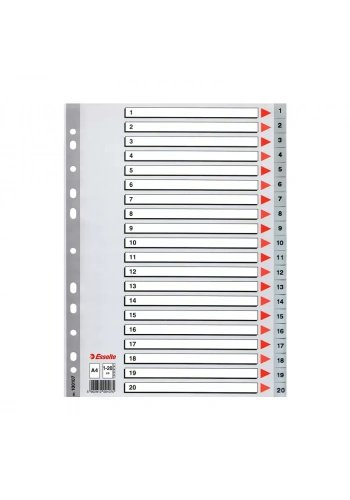 ESSELTE 100107 PLASTİK AYRAÇ A4 1-20 RAKAM