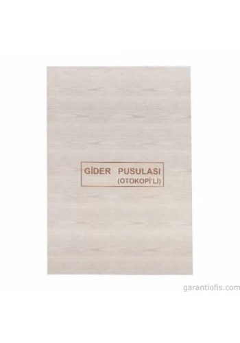 Dilman Otokopili Gider Pusulası