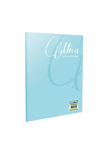 GIPTA MİCA PLASTİK KAPAK DEFTER A4 ÇİZGİLİ 40 YAPRAK (1702)