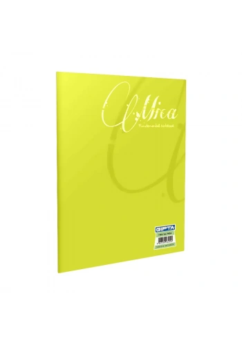 GIPTA MİCA PLASTİK KAPAK DEFTER A4 KARELİ 40 YAPRAK (1703)