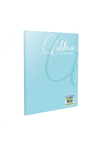 GIPTA MİCA PLASTİK KAPAK DEFTER A4 KARELİ 80 YAPRAK (1708)