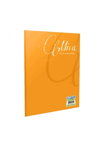 GIPTA MİCA PLASTİK KAPAK DEFTER A5 KARELİ 40 YAPRAK (1710)
