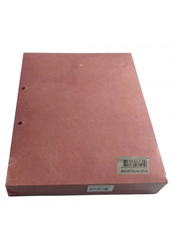 Dilman A4 Pembe Ara Kartonu (100 lü Paket)