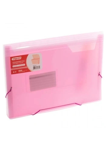 Bigpoint BP260 Körüklü Dosya Pembe A4 Lastikli 13 Cepli