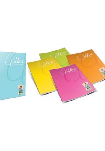 GIPTA MİCA PLASTİK KAPAK DEFTER A4 ÇİZGİLİ 100 YAPRAK (2488)