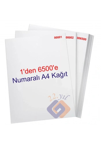 1 den 6500 e Numaralı A4 Fotokopi Kağıdı