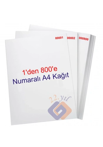 1 den 800 e Numaralı A4 Fotokopi Kağıdı