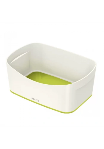 LEİTZ 5257 MYBOX MASA ÜSTÜ SAKLAMA KUTUSU YEŞİL-BEYAZ