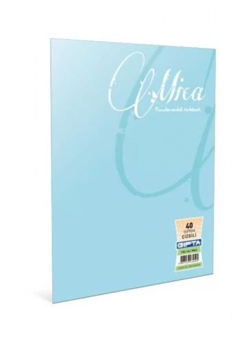 GIPTA OFSET MİCA PLASTİK KAPAK DEFTER A5 KARELİ 60 YAPRAK (2479)