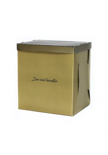 Şekilli Katlı Pasta Kutusu 35x45x50 cm - 10 Adet