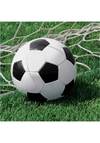 Futbol Topu Büyük Boy  16 lı Peçete