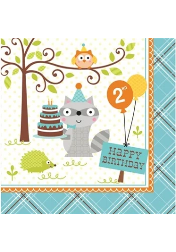 Happy Woodland Mavi 2 Yaş Peçete