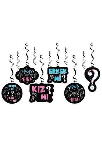 Cinsiyet Partisi 6 Lı Asma Tavan Süsü