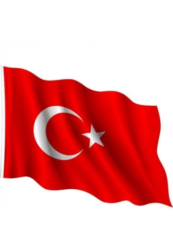 VATAN BAYRAK 20x30 (10 ADET)