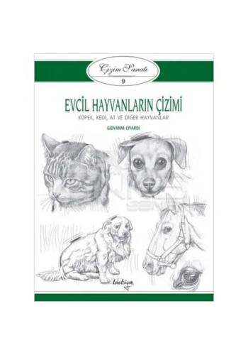 Koleksiyon Yayınları Evcil Hayvanların Çizimi