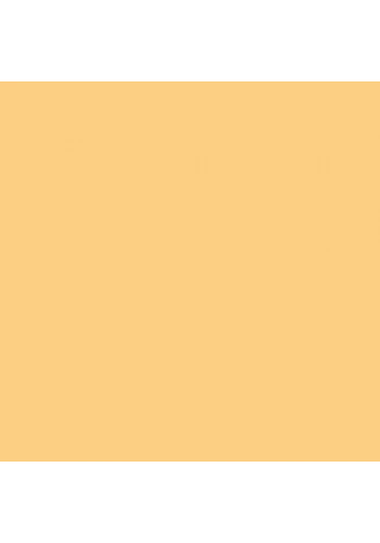 Cadence Premium Akrilik Boya 120ml 0359 Bugday