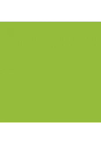 Cadence Premium Akrilik Boya 120ml 1295 Fıstık