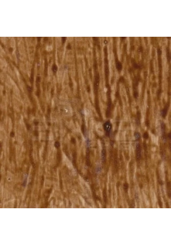 Cadence Antiquing (Eskitme) 120ml Koyu Kızıl Kahve 306