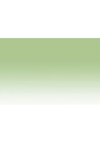 Chameleon Marker GR1 Green Apple