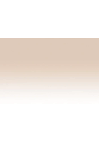 Chameleon Marker NU3 Fawn