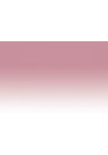 Chameleon Marker PK2 Dusty Rose