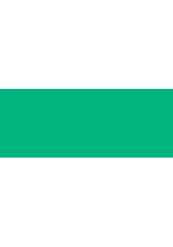 Copic Sketch Marker G17 Forest Green