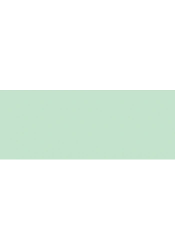 Copic Sketch Marker G21 Lime Green