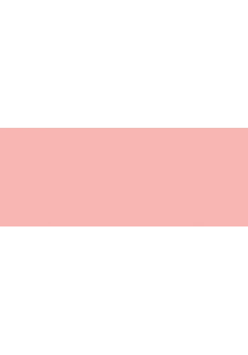 Copic Sketch Marker R22 Light Prawn