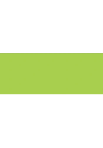 Copic Sketch Marker YG07 Acid Green