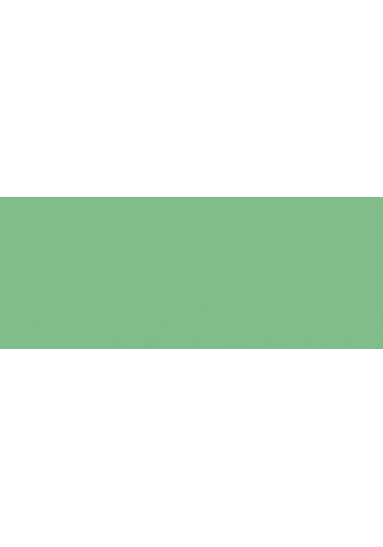 Copic Sketch Marker YG67 Moss