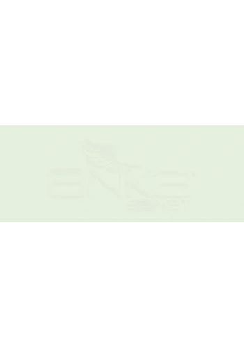 Copic Various Ink G40 Dim Green