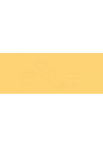 Copic Various Ink Y38 Honey