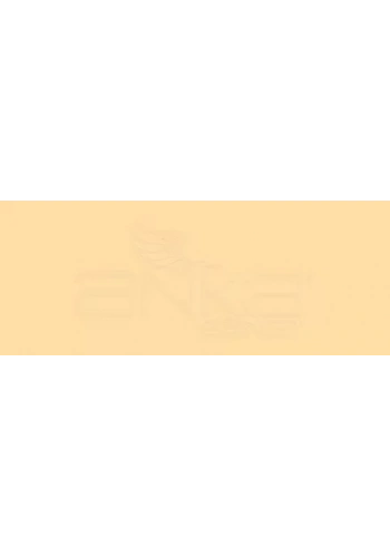 Copic Various Ink YR31 Light Reddish Yellow