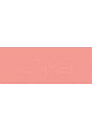 Copic Various Ink R14 Light Rouge