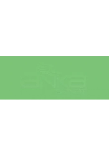 Copic Various Ink G07 Nile Green