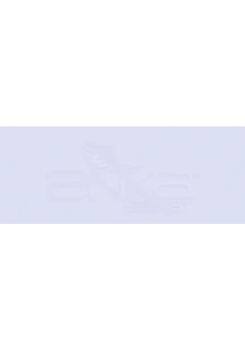 Copic Various Ink BV31 Pale Lavender