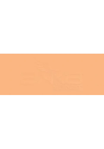 Copic Various Ink YR15 Pumpkin Yellow