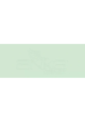 Copic Various Ink G02 Spectrum Green