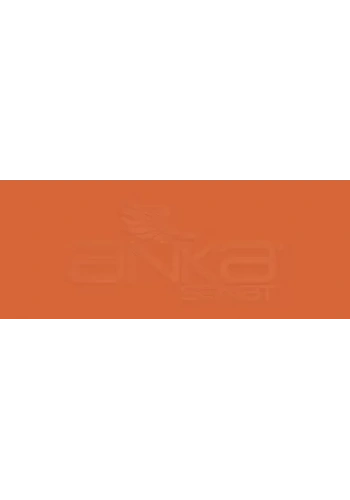 Copic Various Ink YR27 Tuscan Orange