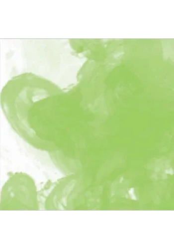 Daler Rowney FW Acrylic Artist Ink 29.5ml Cam Şişe Light Green 348