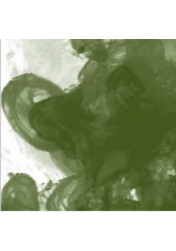 Daler Rowney FW Acrylic Artist Ink 29.5ml Cam Şişe Olive Green 363