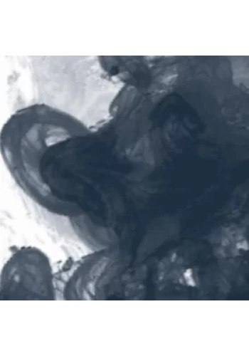 Daler Rowney FW Acrylic Artist Ink 29.5ml Cam Şişe Paynes Grey 065