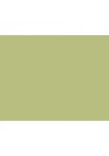 Derwent Drawing Pencil Renkli Çizim Kalemi 4125 Pale Cedar