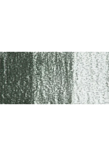 Derwent Tinted Charcoal Sulandırılabilen Renkli Füzen Kalem TC14 Forest Pine