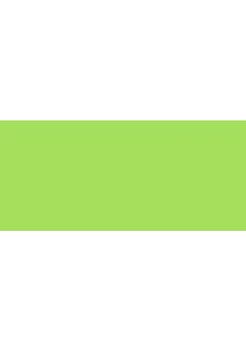 Faber Castell Albrecht Dürer Watercolor Pencil 171 Light Green