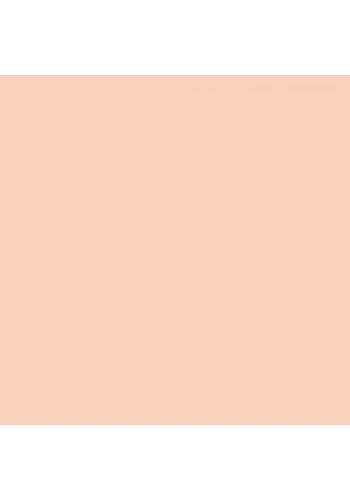 Koh-i-Noor Artist Pastel Boya Kalemi 8820/28 Light Orange