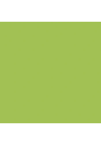 Koh-i-Noor Artist Pastel Boya Kalemi 8820/7 Permanent Green