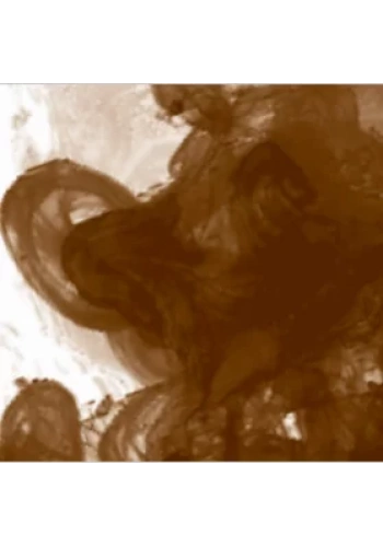 Daler Rowney FW Acrylic Artist Ink 180ml Burnt Umber 223